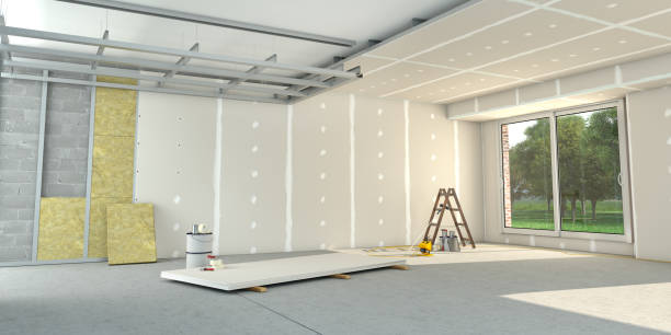 Best Insulation Maintenance and Repair in Snyder, TX