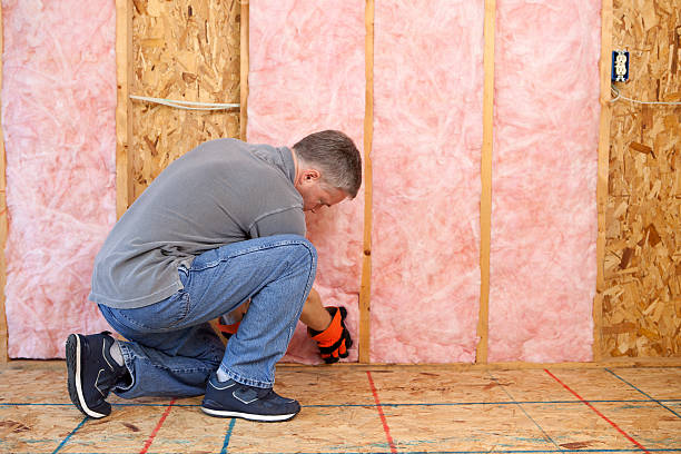 Best Blown-in Insulation in Snyder, TX