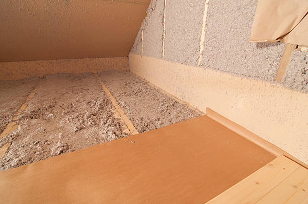 Best Eco-Friendly Insulation in Snyder, TX