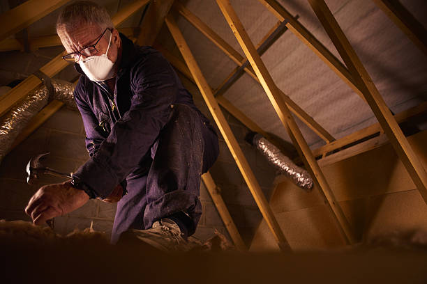 Best Commercial Insulation in Snyder, TX
